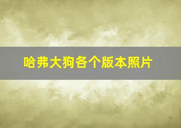 哈弗大狗各个版本照片