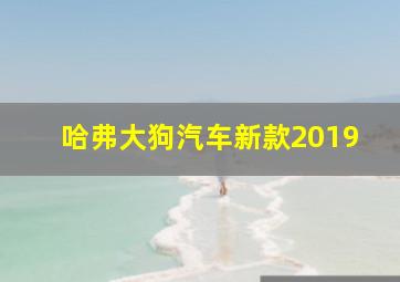 哈弗大狗汽车新款2019