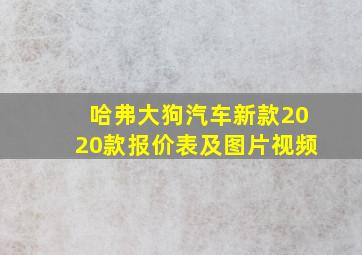 哈弗大狗汽车新款2020款报价表及图片视频