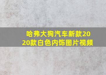 哈弗大狗汽车新款2020款白色内饰图片视频