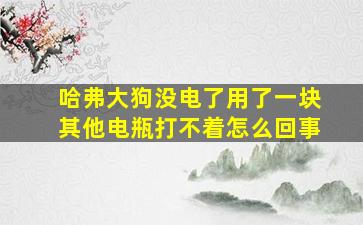 哈弗大狗没电了用了一块其他电瓶打不着怎么回事