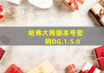 哈弗大狗版本号密码DG.1.5.0