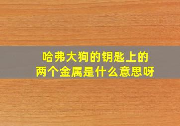 哈弗大狗的钥匙上的两个金属是什么意思呀