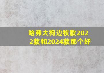 哈弗大狗边牧款2022款和2024款那个好