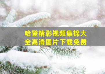 哈登精彩视频集锦大全高清图片下载免费