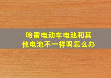 哈雷电动车电池和其他电池不一样吗怎么办