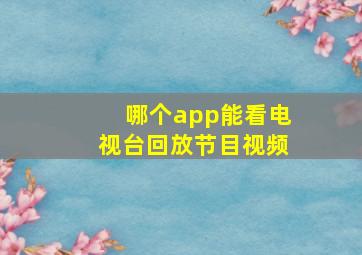 哪个app能看电视台回放节目视频