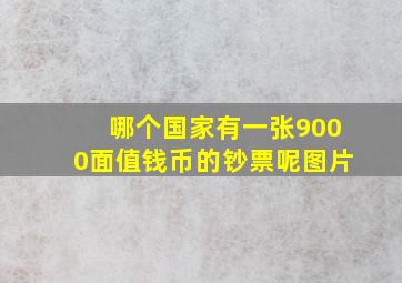 哪个国家有一张9000面值钱币的钞票呢图片