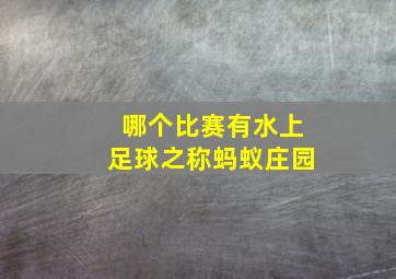 哪个比赛有水上足球之称蚂蚁庄园