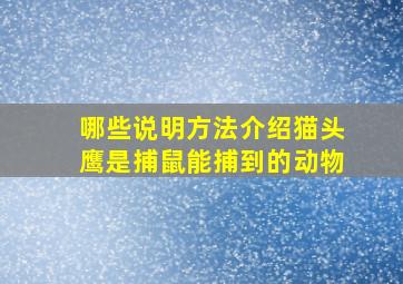 哪些说明方法介绍猫头鹰是捕鼠能捕到的动物