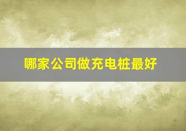 哪家公司做充电桩最好