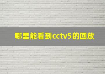 哪里能看到cctv5的回放