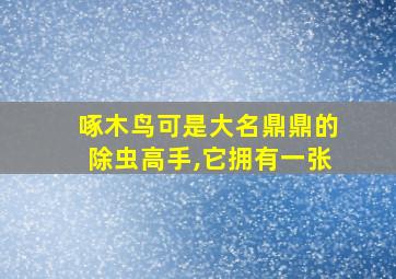 啄木鸟可是大名鼎鼎的除虫高手,它拥有一张