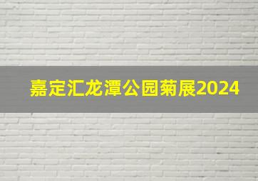 嘉定汇龙潭公园菊展2024