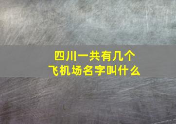 四川一共有几个飞机场名字叫什么