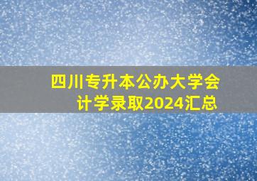 四川专升本公办大学会计学录取2024汇总