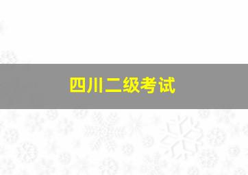 四川二级考试