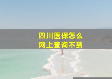 四川医保怎么网上查询不到