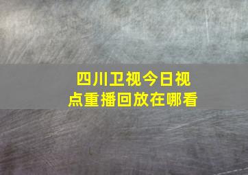 四川卫视今日视点重播回放在哪看