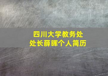 四川大学教务处处长薛晖个人简历