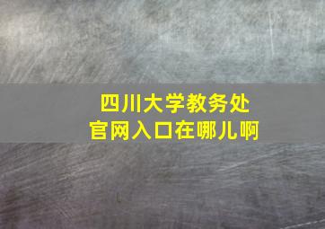 四川大学教务处官网入口在哪儿啊