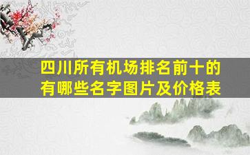 四川所有机场排名前十的有哪些名字图片及价格表