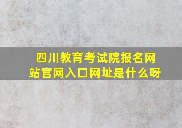 四川教育考试院报名网站官网入口网址是什么呀