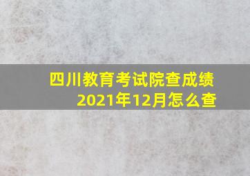 四川教育考试院查成绩2021年12月怎么查