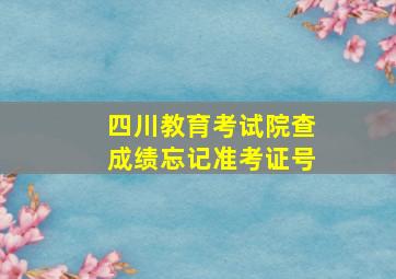 四川教育考试院查成绩忘记准考证号