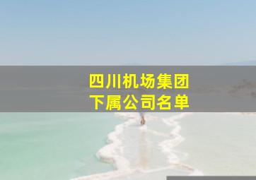 四川机场集团下属公司名单