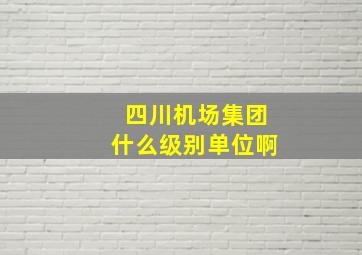 四川机场集团什么级别单位啊