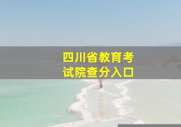 四川省教育考试院查分入口