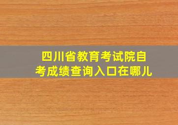 四川省教育考试院自考成绩查询入口在哪儿