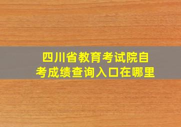 四川省教育考试院自考成绩查询入口在哪里