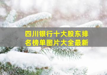 四川银行十大股东排名榜单图片大全最新