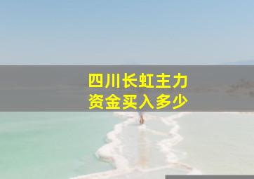 四川长虹主力资金买入多少