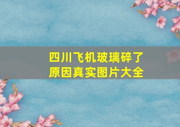 四川飞机玻璃碎了原因真实图片大全