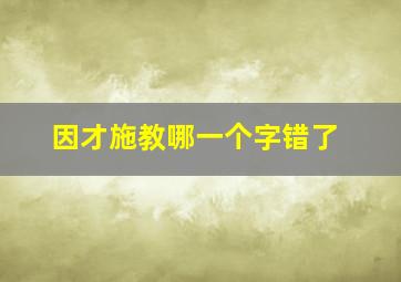 因才施教哪一个字错了