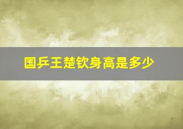 国乒王楚钦身高是多少