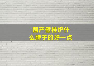 国产壁挂炉什么牌子的好一点