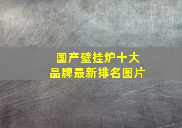 国产壁挂炉十大品牌最新排名图片