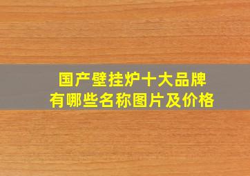 国产壁挂炉十大品牌有哪些名称图片及价格