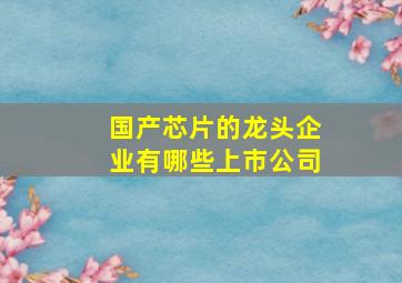 国产芯片的龙头企业有哪些上市公司