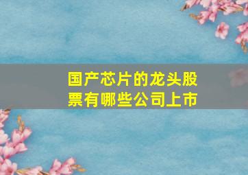 国产芯片的龙头股票有哪些公司上市