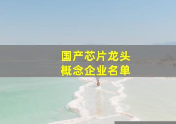 国产芯片龙头概念企业名单