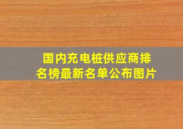 国内充电桩供应商排名榜最新名单公布图片