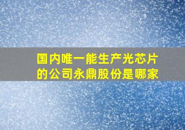 国内唯一能生产光芯片的公司永鼎股份是哪家