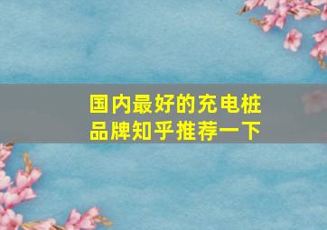 国内最好的充电桩品牌知乎推荐一下