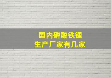 国内磷酸铁锂生产厂家有几家