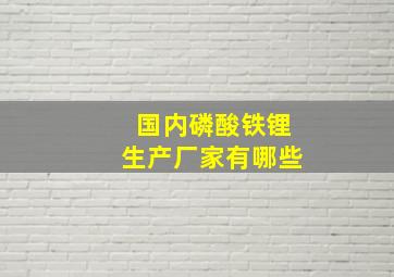 国内磷酸铁锂生产厂家有哪些